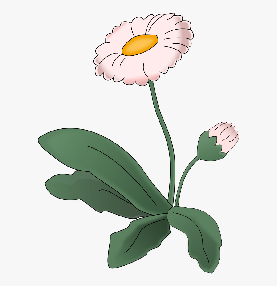 Flower Daisy Clip Arts - Illustration, Transparent Clipart