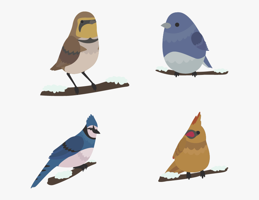 Bird Winter Euclidean Vector - Mountain Bluebird, Transparent Clipart