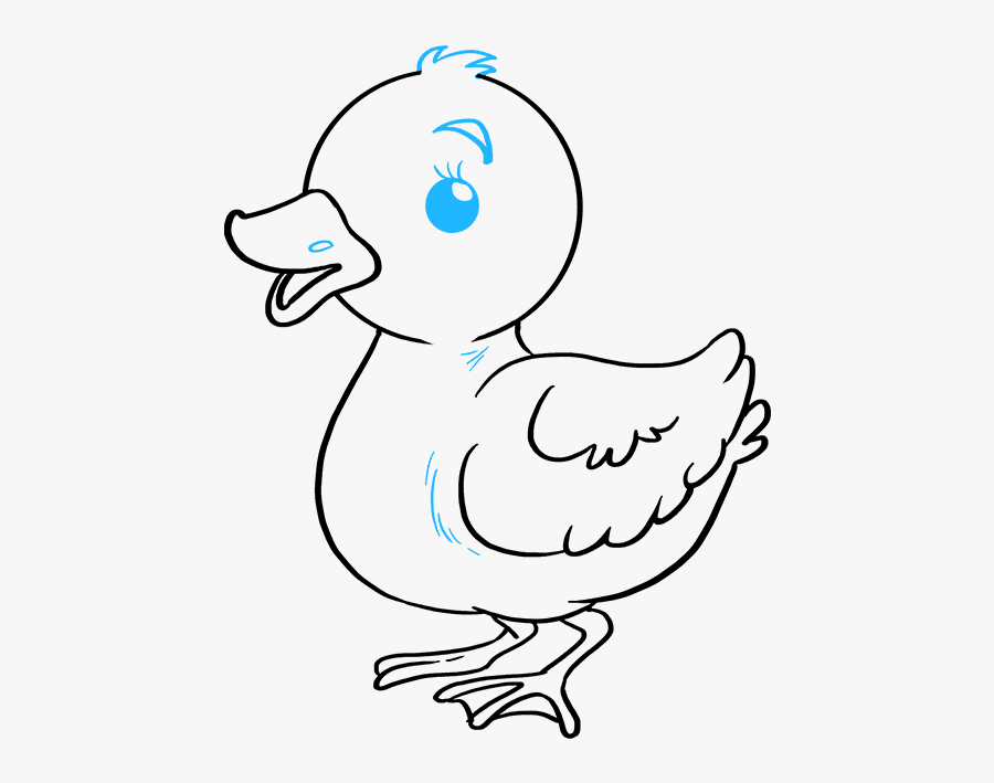 How To Draw Baby Duck - Draw A Baby Duck, Transparent Clipart