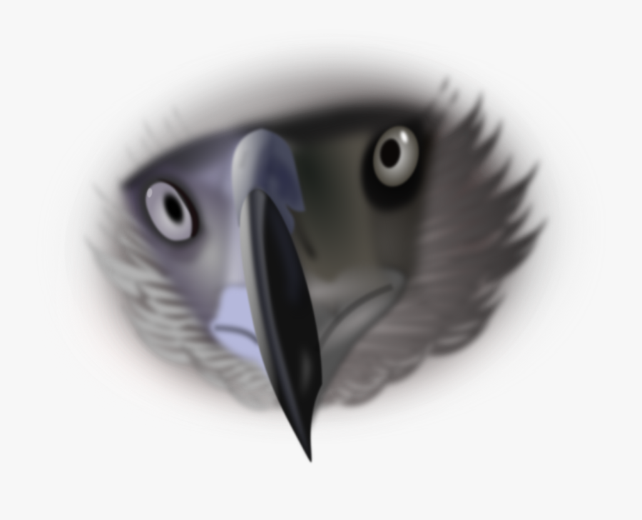 Transparent Scary Eyes Png - Eagle Face 3 4 Vector, Transparent Clipart