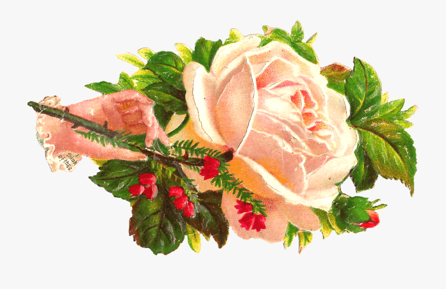 Victorian Flowers Clip Art - Garden Roses, Transparent Clipart