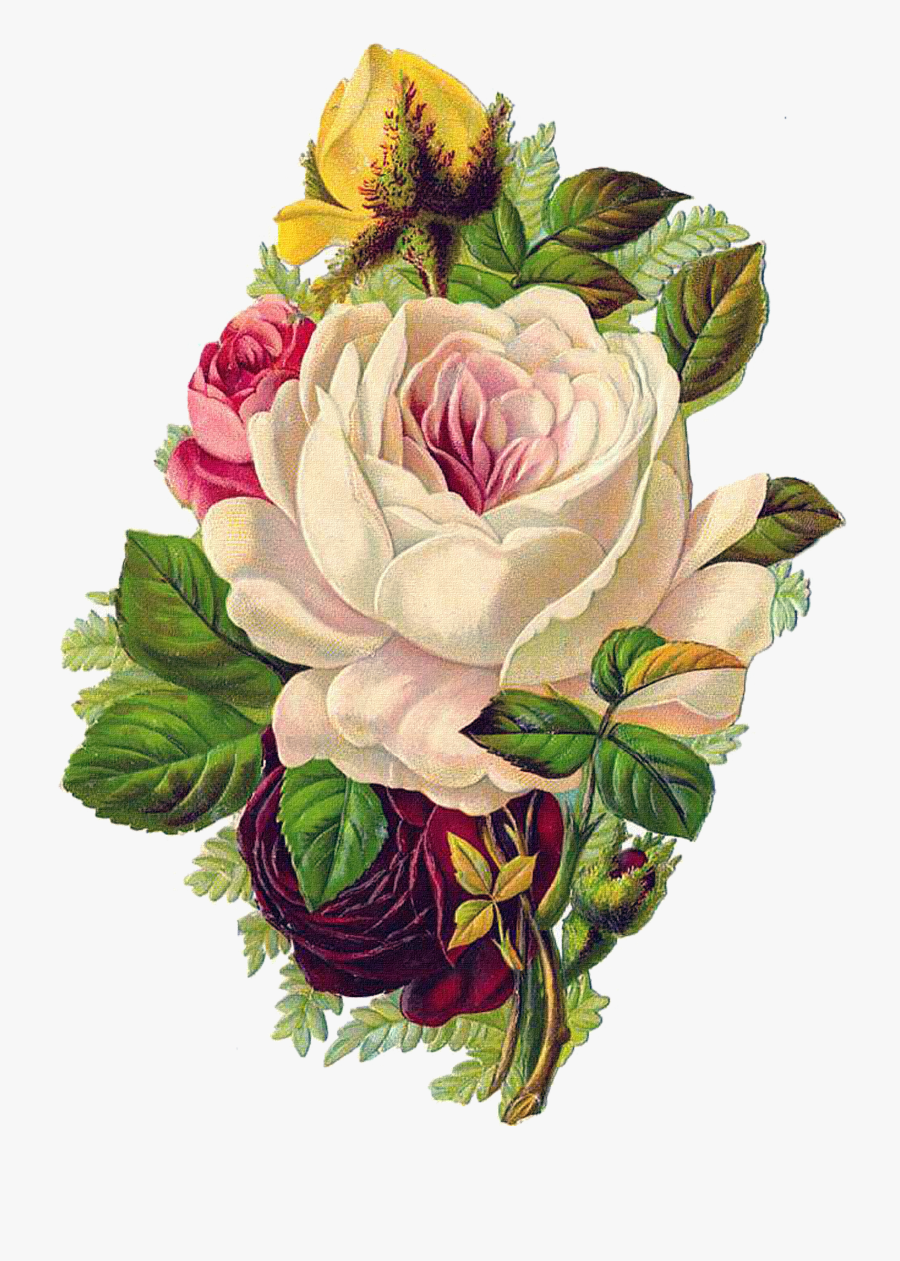 Rose Flower Paper The Babys Bouquet - Vintage Illustration Victorian Flowers, Transparent Clipart