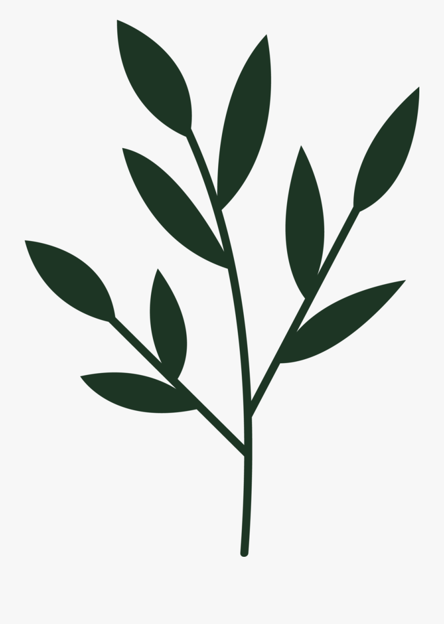 Plant Growing Clip Art, Transparent Clipart