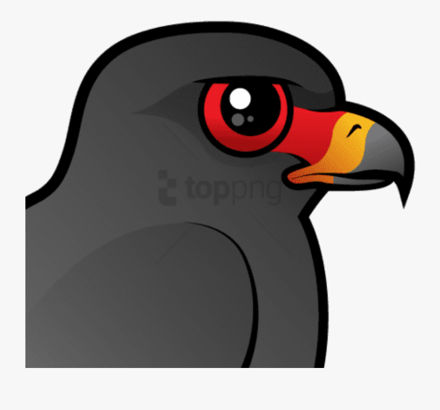 Free Png About The Snail Kite - Cute Everglades Snail Kite, Transparent Clipart