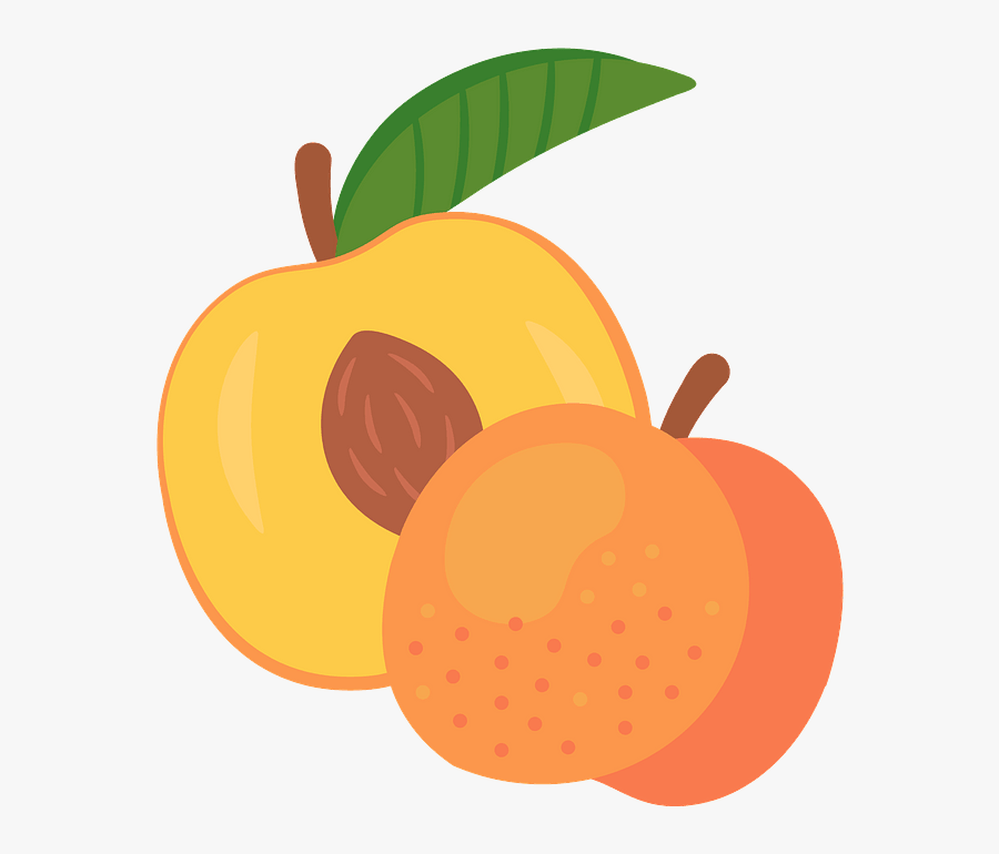 Mcintosh, Transparent Clipart