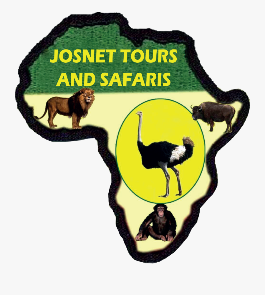 Magellan Logo, Transparent Clipart