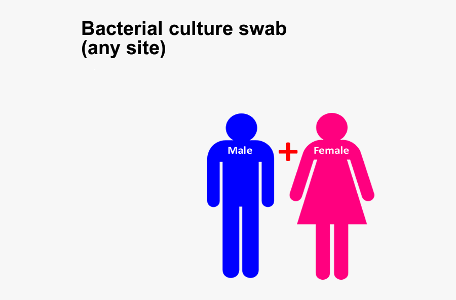 Bacterial Culture Swab - Homelessness In Australia Facts, Transparent Clipart