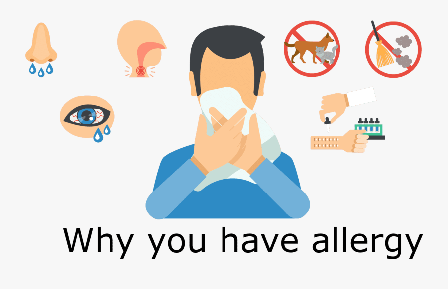 Std Clip Art, Transparent Clipart