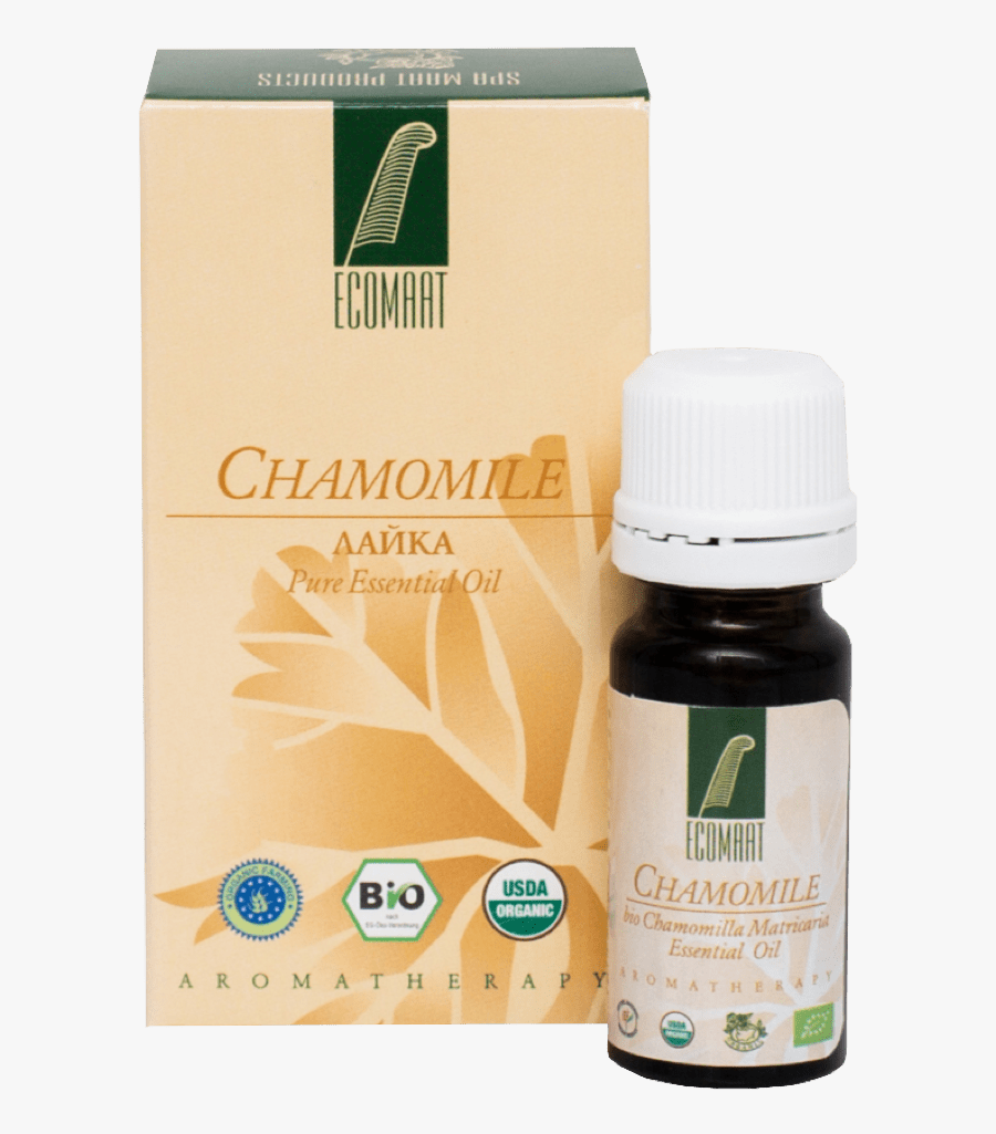 Juniper Drawing Essential Oil , Transparent Cartoons - Clary, Transparent Clipart