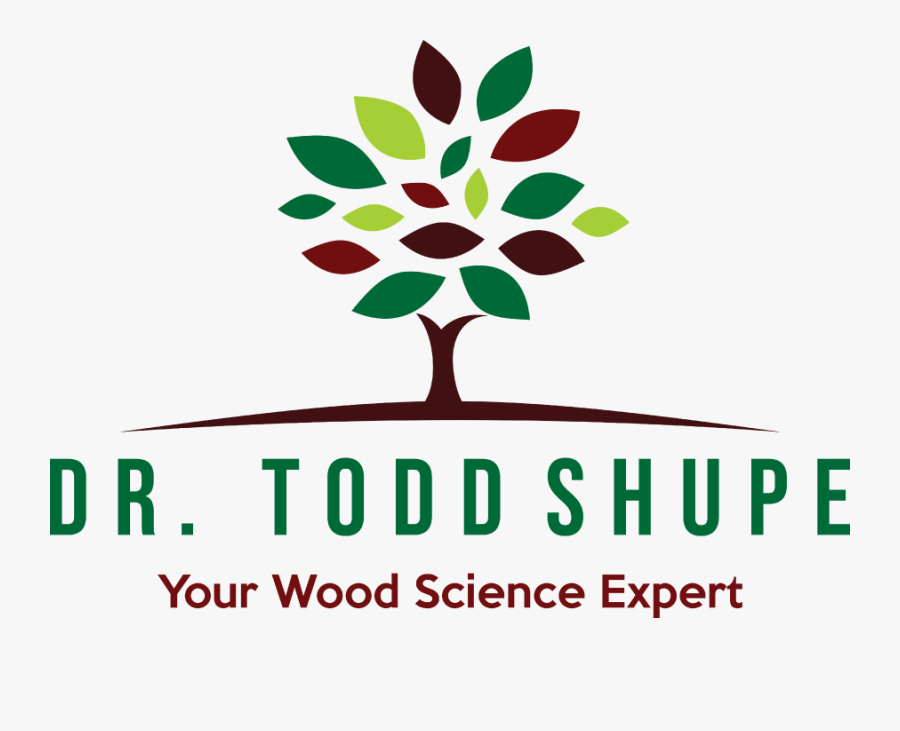 Drtoddshupe - Com - You Ll Be Impressed With All My Forest Expertise, Transparent Clipart