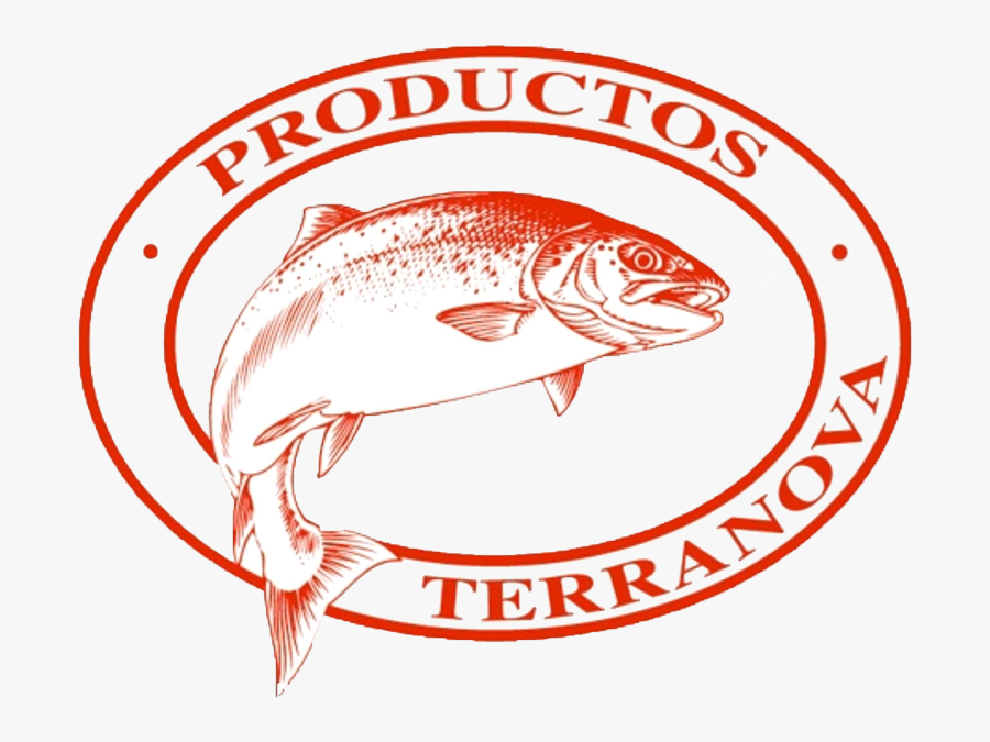 International Swimming Hall Of Fame Logo, Transparent Clipart