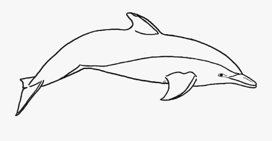Dolphin Pictures To Color Clipart Common Bottlenose, Transparent Clipart