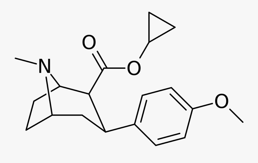 2 Β Carbomethoxy 3 Β -( 4 Iodophenyl Tropane, Transparent Clipart