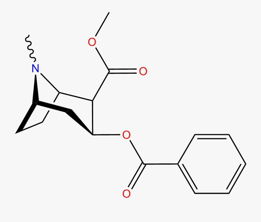 Transparent Cocaine Clipart - Structure Of Coca Alkaloid, Transparent Clipart
