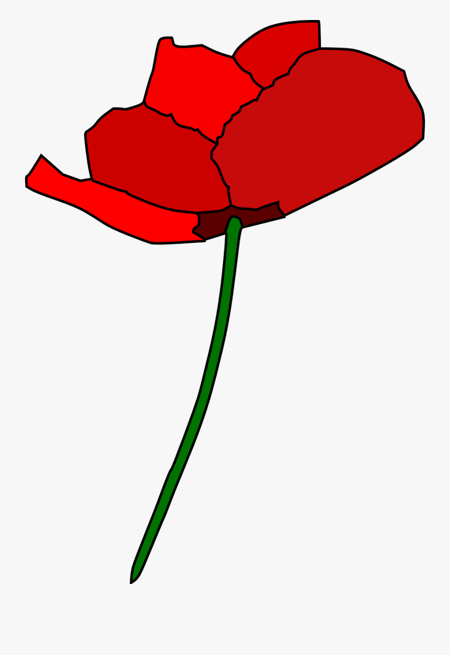 Poppy Rose Red Free Photo - Clipart Poppy Flower, Transparent Clipart