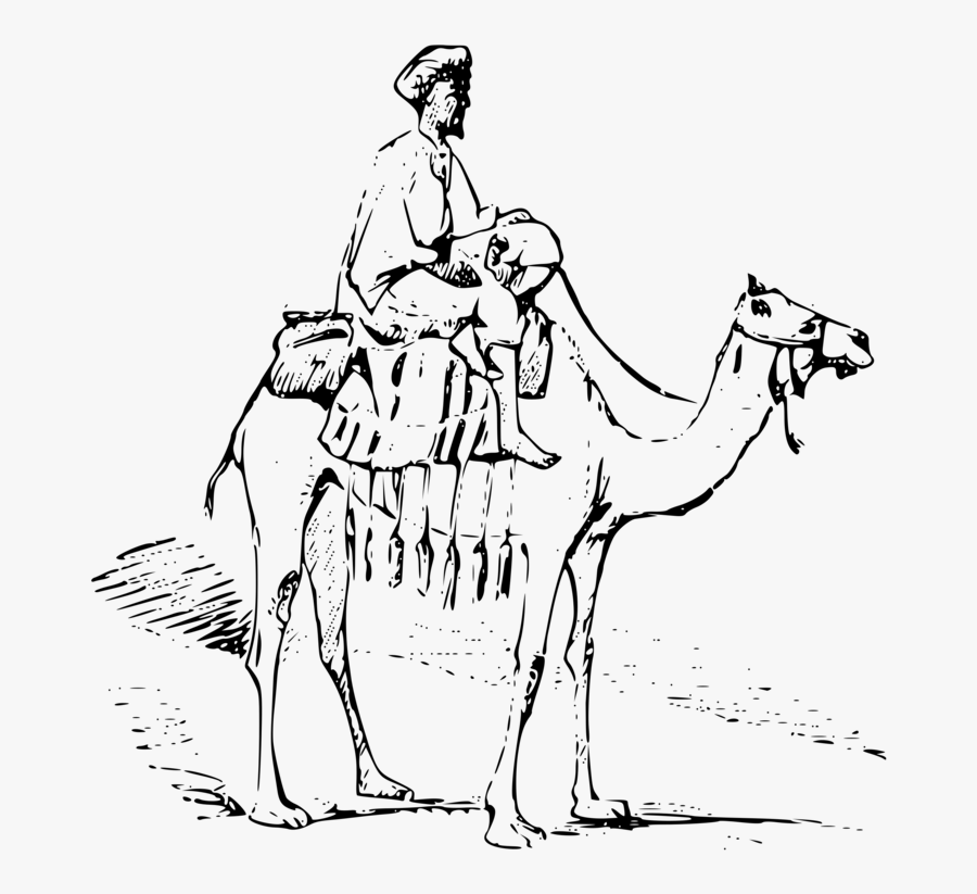 Art,camel,monochrome Photography - Camel In Desert Drawing, Transparent Clipart