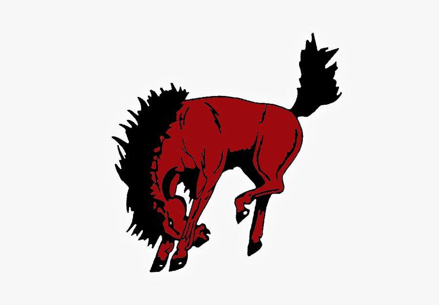 Sonora Broncos, Transparent Clipart
