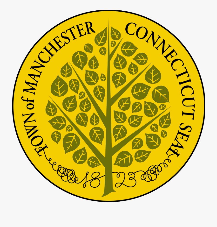 Circle, Transparent Clipart