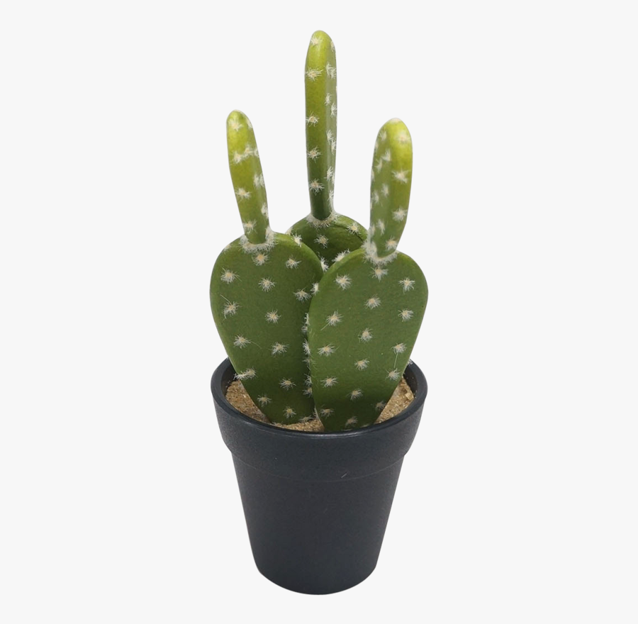 Prickly Pear Cactus In Pot, Transparent Clipart