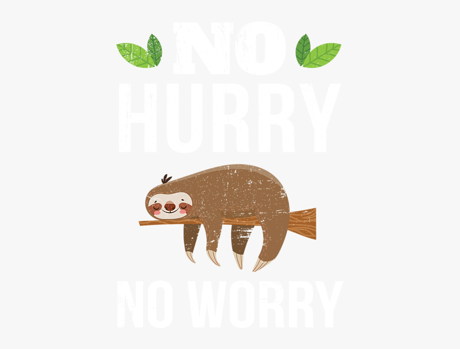 Sloth Cartoon, Transparent Clipart