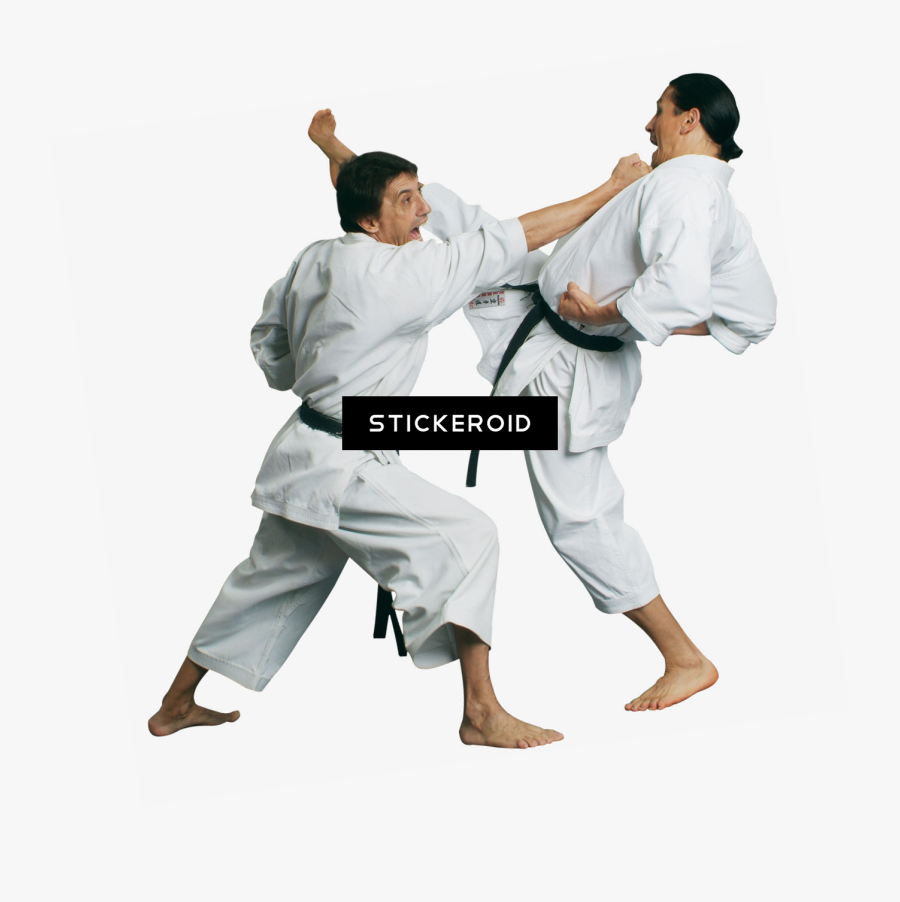 Fighting Clipart Wushu - Martial Art People Png, Transparent Clipart