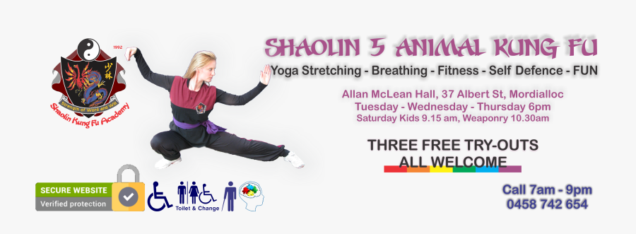 Wushu, Transparent Clipart