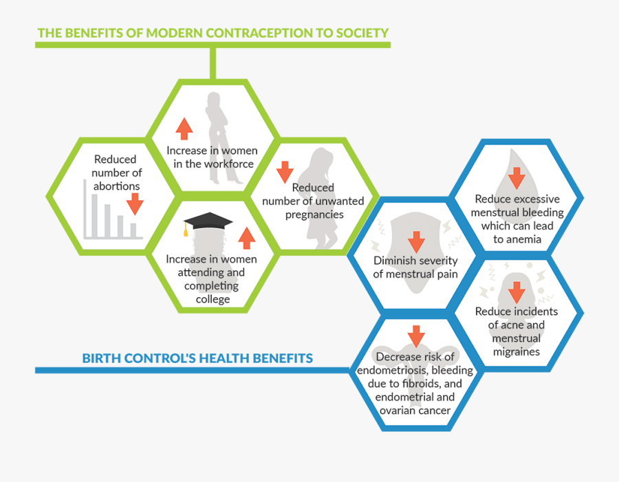 Diagram, Transparent Clipart
