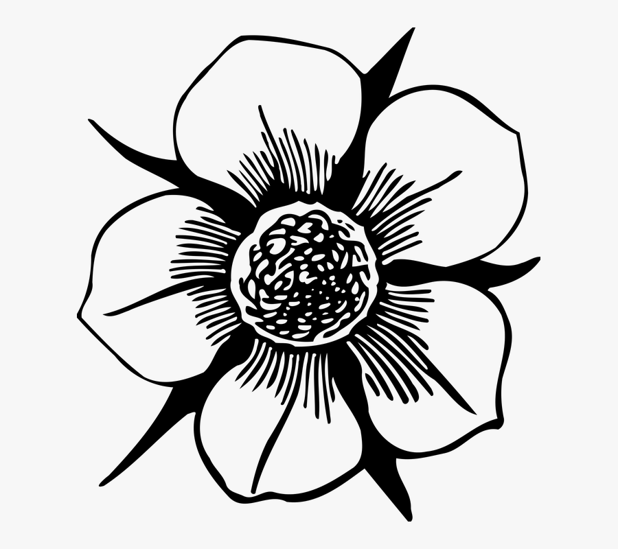 Floral, Flower, Petal, Plant - Clipart Flowers Black And White Outline, Transparent Clipart
