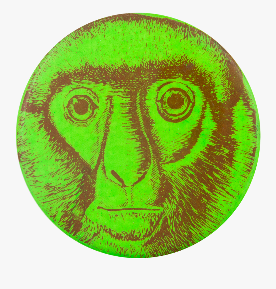 Green Monkey Art Button Museum - Circle, Transparent Clipart