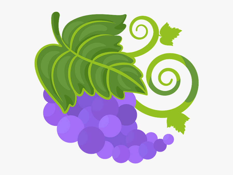 Grape, Transparent Clipart