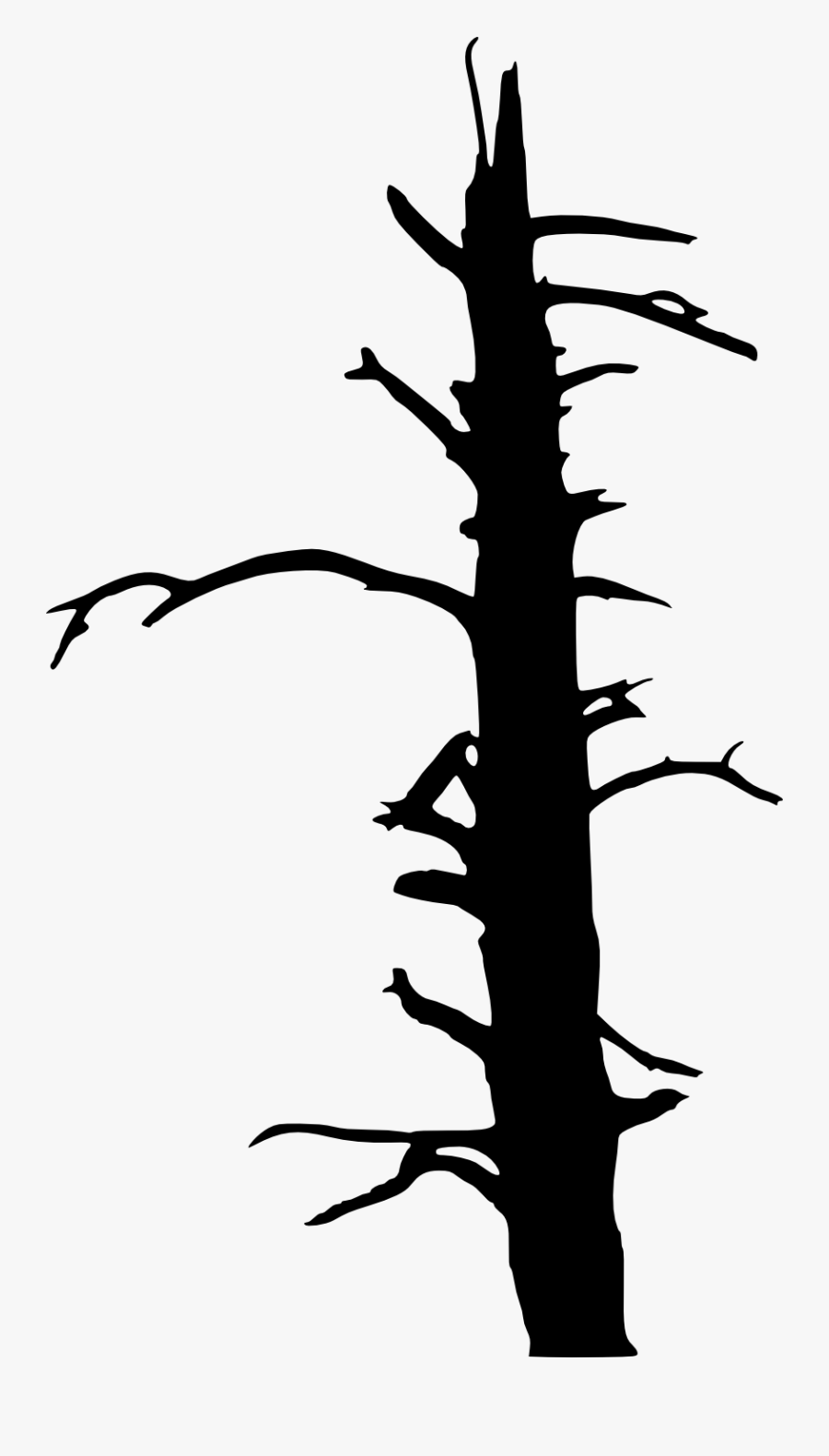 Portable Network Graphics, Transparent Clipart