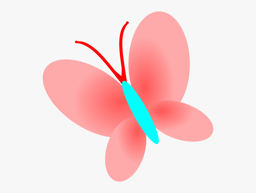 Insect, Transparent Clipart
