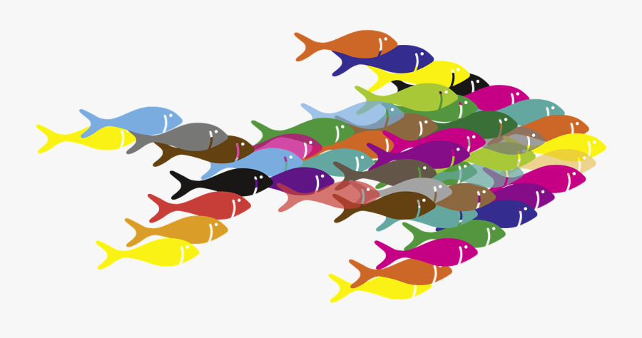Colorful Fish Clipart Transparent, Transparent Clipart