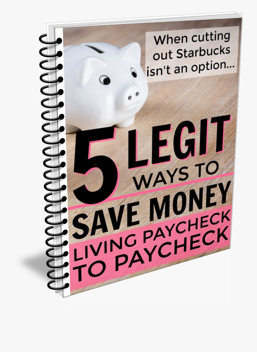 Wombat, Transparent Clipart