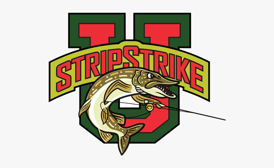 Pull Fish Out Of Water, Transparent Clipart