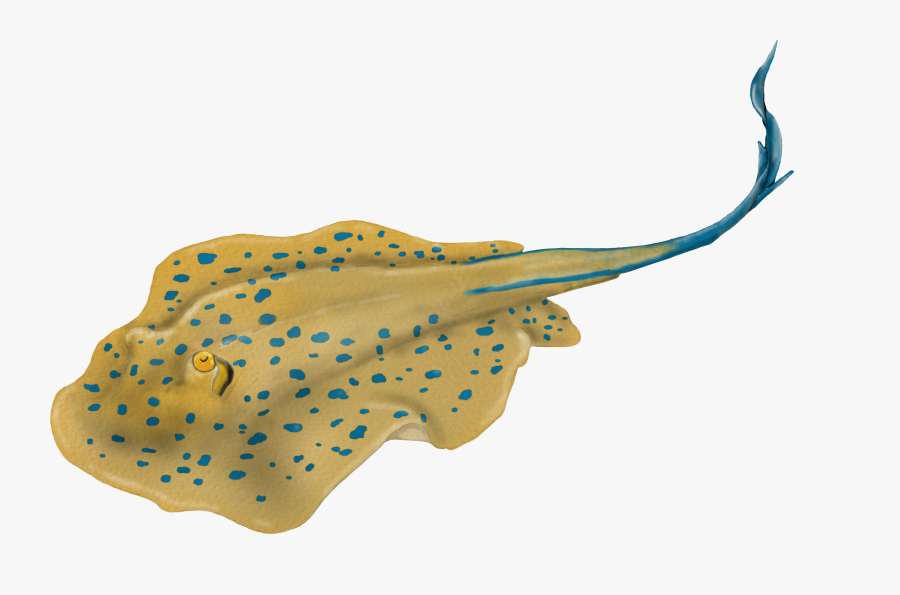 Stingray Clipart Electric Ray - Blue Spotted Stingray Illustration, Transparent Clipart