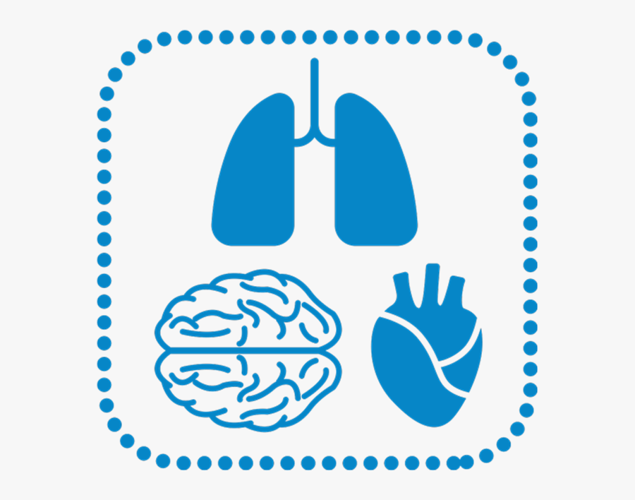 Purple Dotted Circle, Transparent Clipart