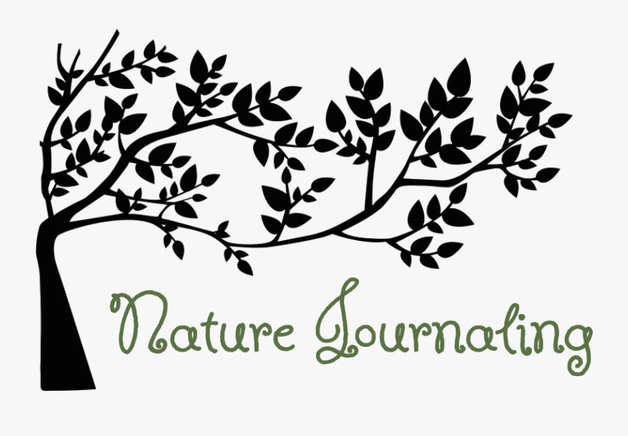 Nature Journaling Workshop - Tree With Leaves Silhouette, Transparent Clipart