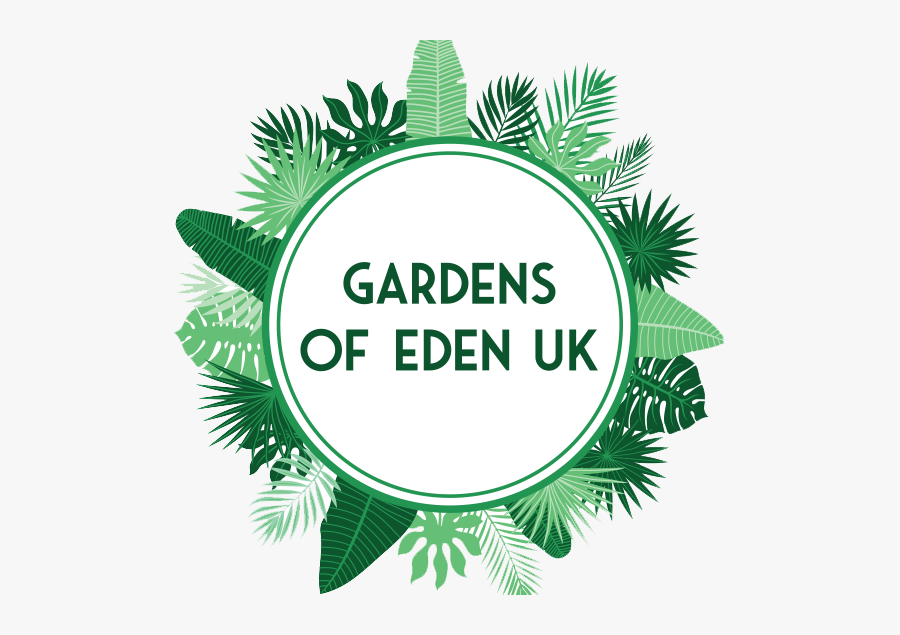 Picture - The Jelly Belly Candy Company, Transparent Clipart