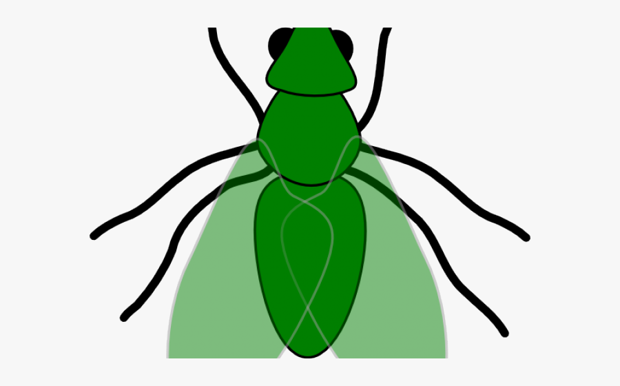 Fly Clip Art, Transparent Clipart