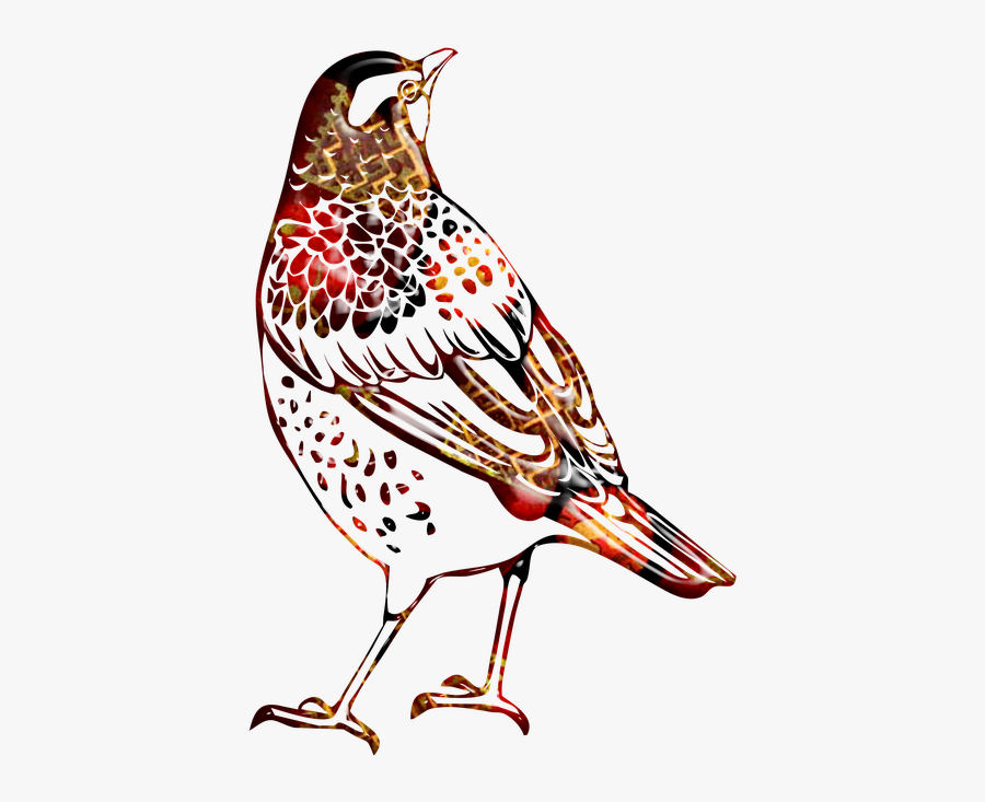 Bird Outline, Bird, Abstract Multicolor, Pretty - Scalable Vector Graphics, Transparent Clipart