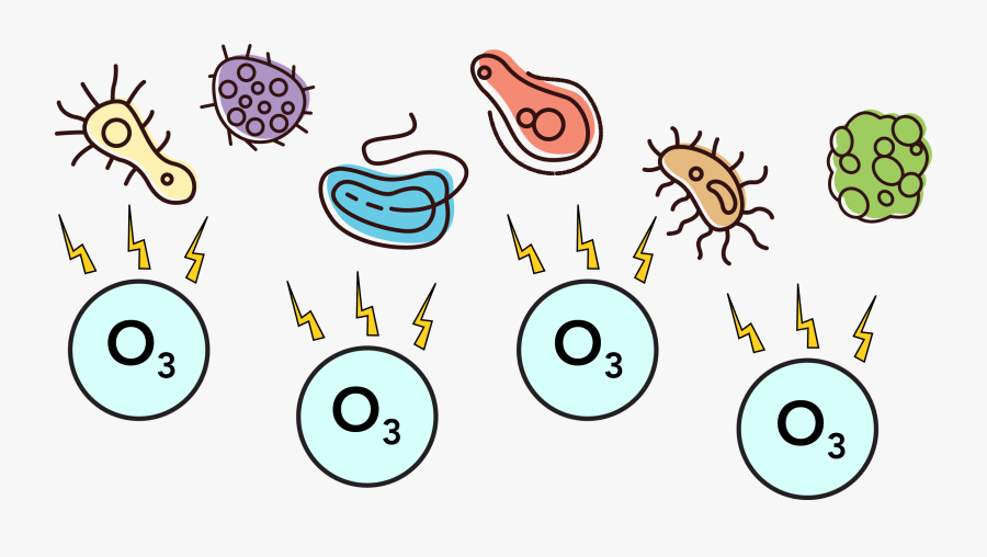 Text, Optional Upgrades, Transparent Clipart