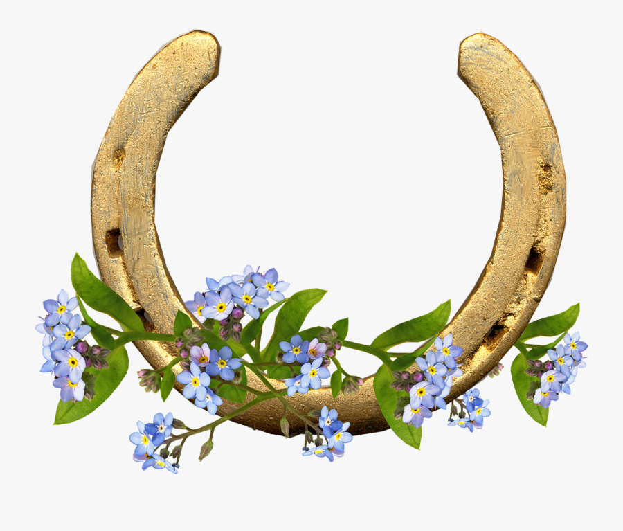 Transparent Forget Me Not Png - Horseshoe Forget Me Nots, Transparent Clipart