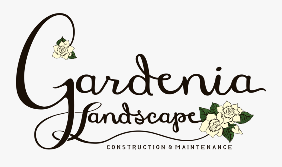 Gardenia Clip Art, Transparent Clipart