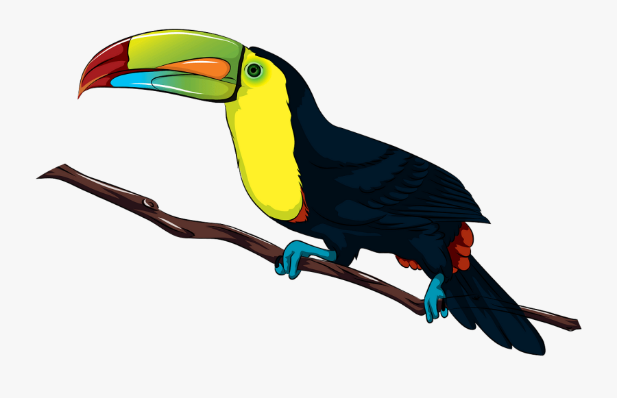 Keel Billed Toucan Png, Transparent Clipart