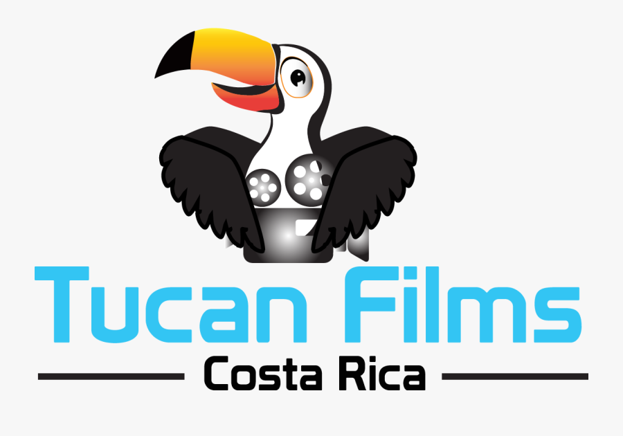 Video Camera Clipart , Png Download - Hornbill, Transparent Clipart