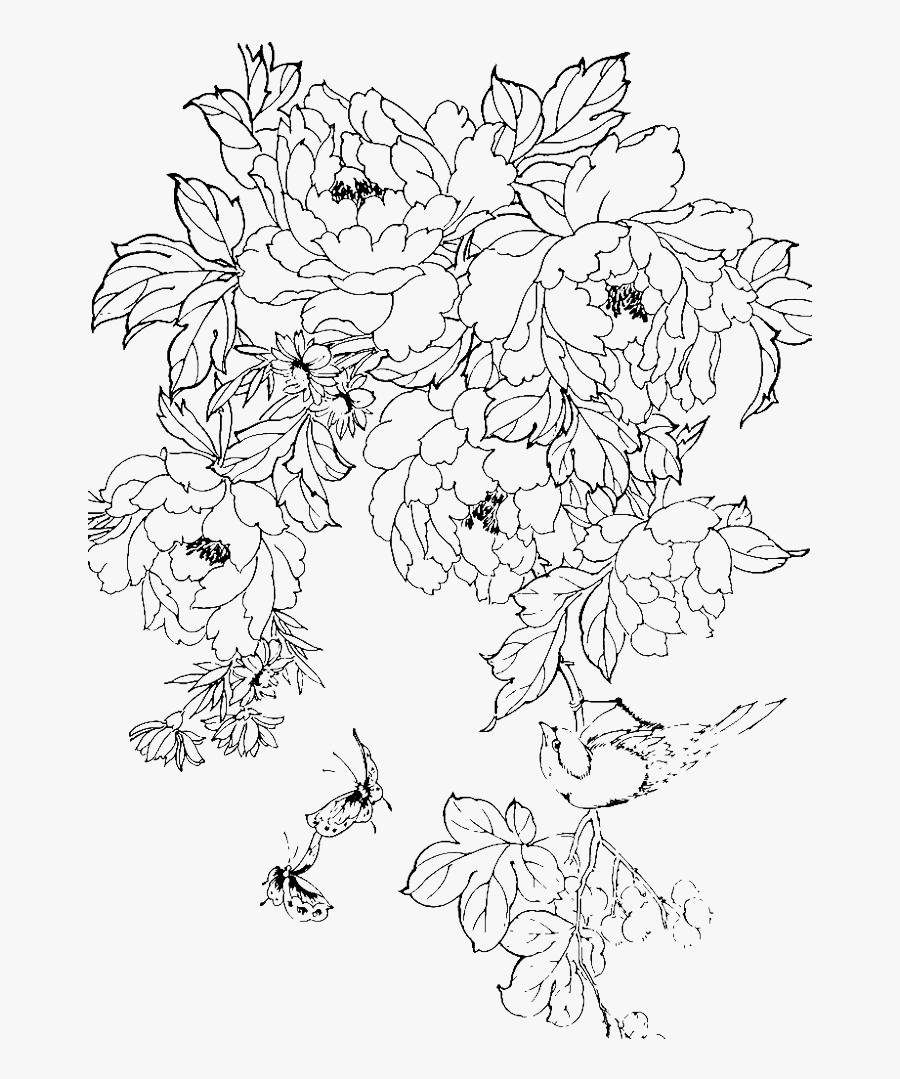 Clip Art Collection Of Free Traditional - Chinese Peony Line Drawing, Transparent Clipart