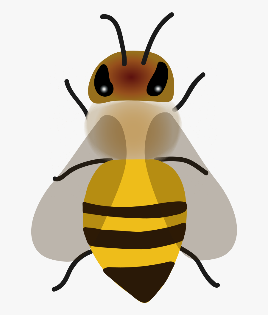 201812 Worker Bee - Honeybee, Transparent Clipart