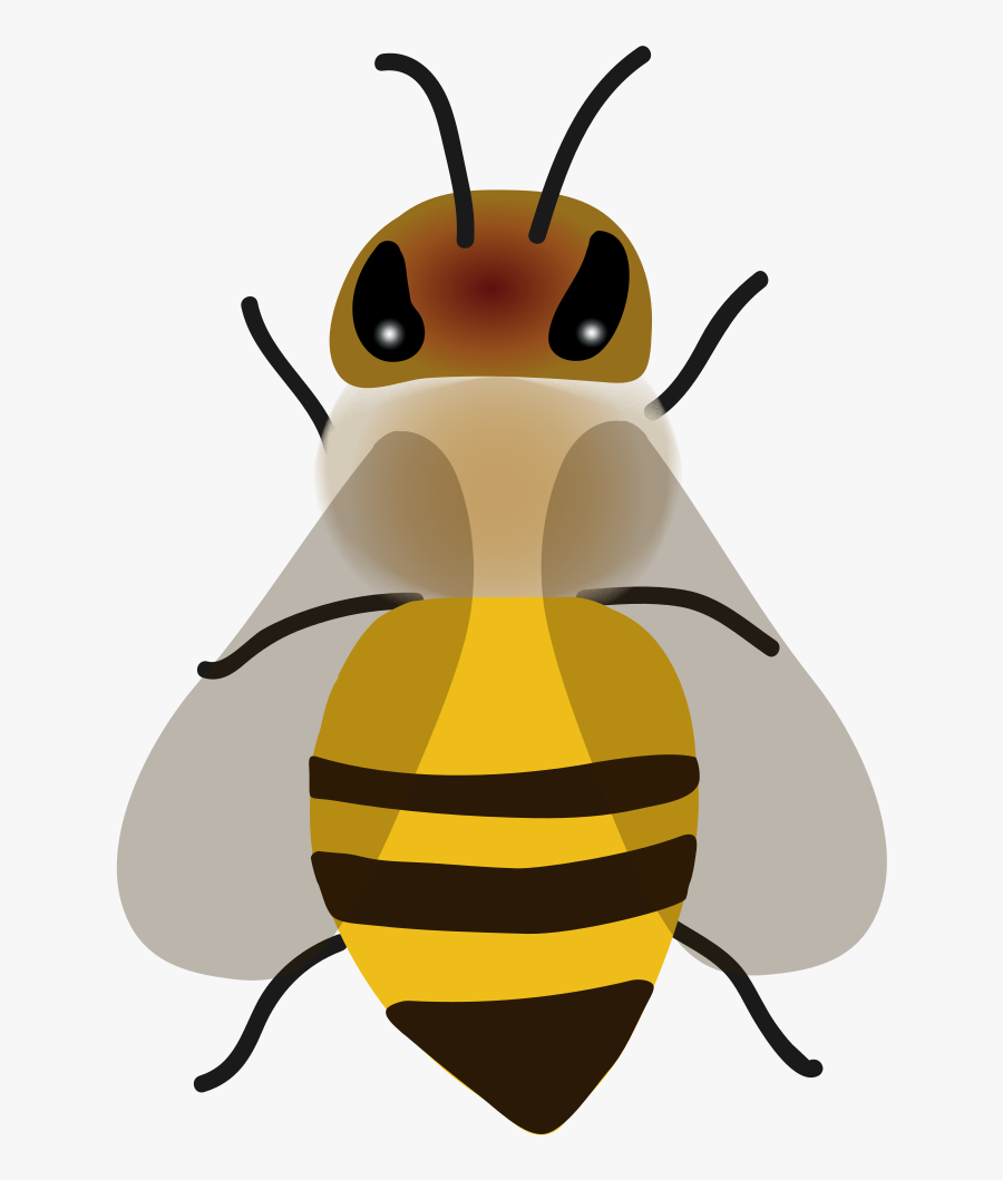 201812 Worker Bee - Honeybee, free clipart download, png, clipart , clip ar...