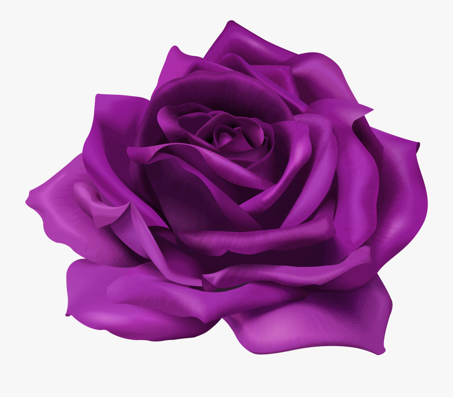 Roses Png Purple - Transparent Purple Flower Png, Transparent Clipart